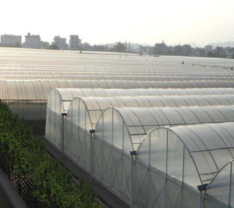 青州温室厂家—高质量薄膜温室