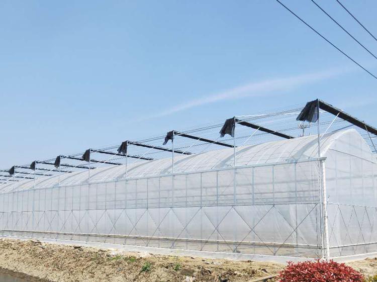 博盛温室-温室工程-育苗温室承建