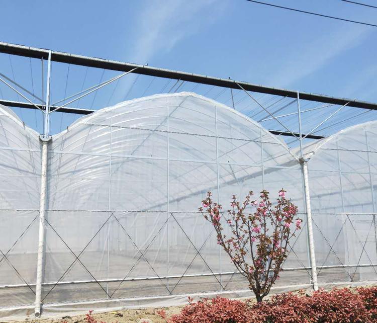 育苗温室建设哪家好-博盛-连栋温室设计