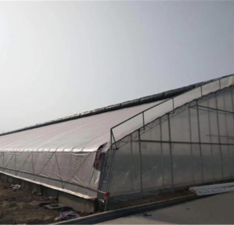 日光温室建设_润隆温室_连栋薄膜温室