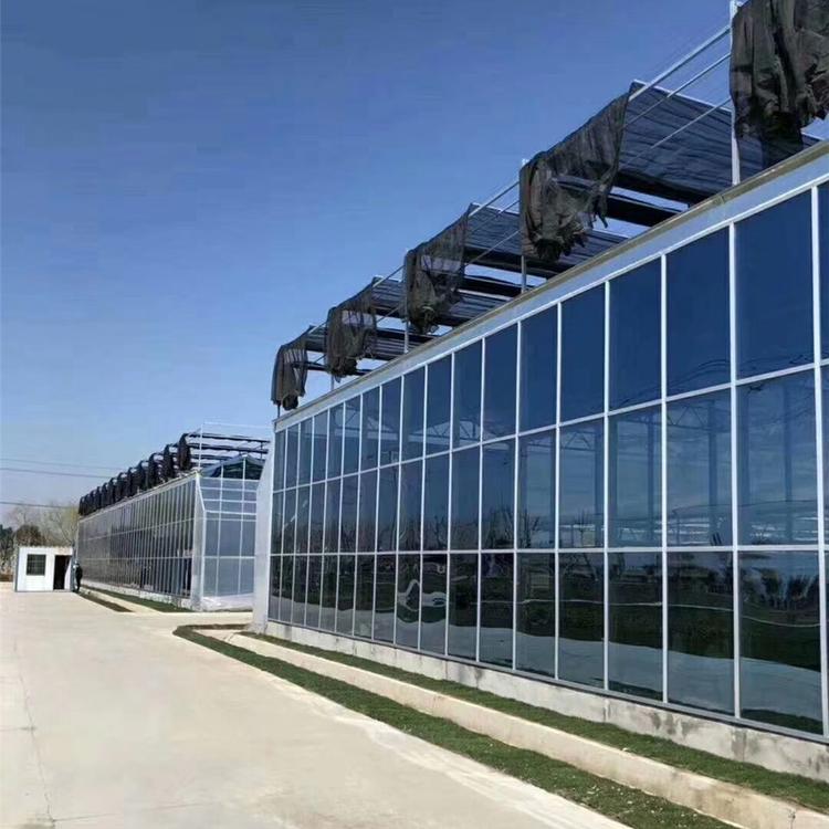 建造玻璃温室 玻璃大棚 润隆价格优惠 优良质量