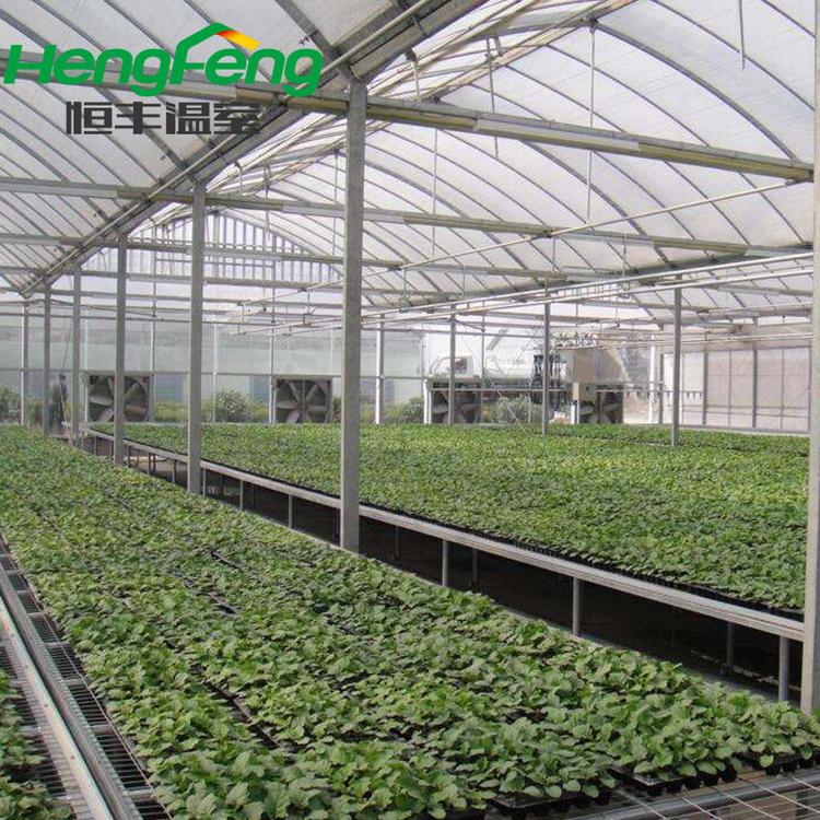 青州pc薄膜温室 连栋薄膜温室 恒丰连栋薄膜温室建造 温室大棚报价