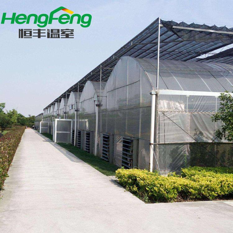 薄膜连栋温室造价 青州承建连栋薄膜温室 恒丰温室连栋大棚薄膜温室建造
