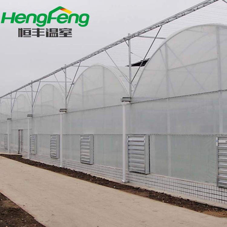 潍坊薄膜连栋温室 薄膜温室 恒丰连栋温室建设 连栋温室建造