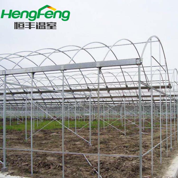 温室工程建造找恒丰 山东知名薄膜温室 连栋薄膜日光温室建造