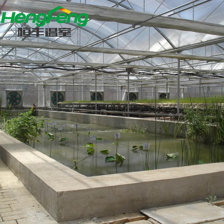 建造薄膜温室 日光温室 山东连栋薄膜温室定制 恒丰温室