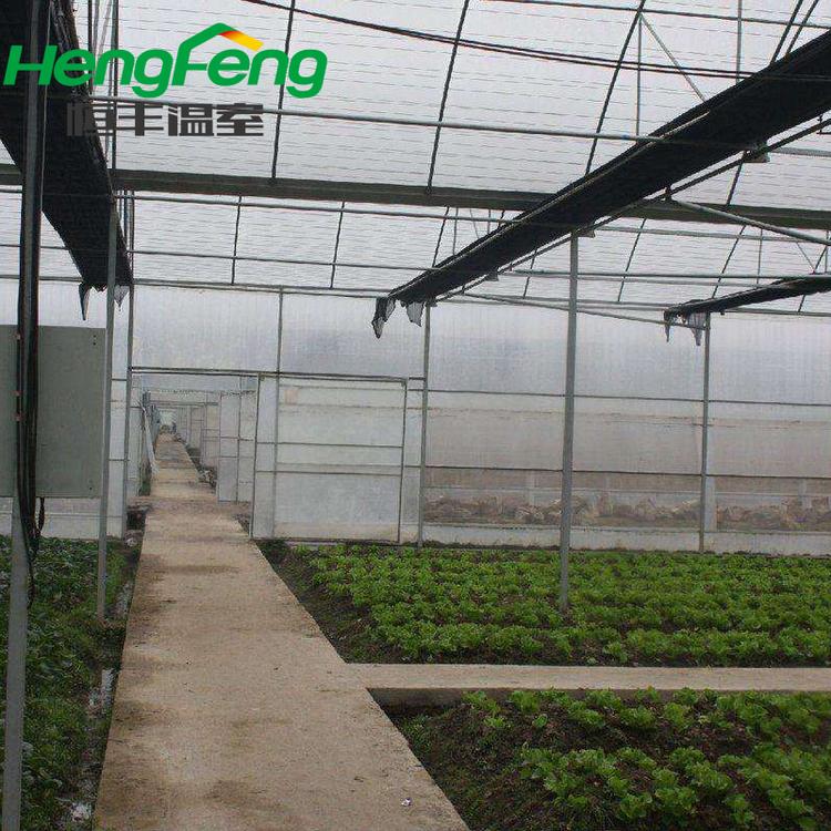 恒丰温室 山东青州连栋薄膜温室厂家 建造连栋蔬菜花卉温室大棚