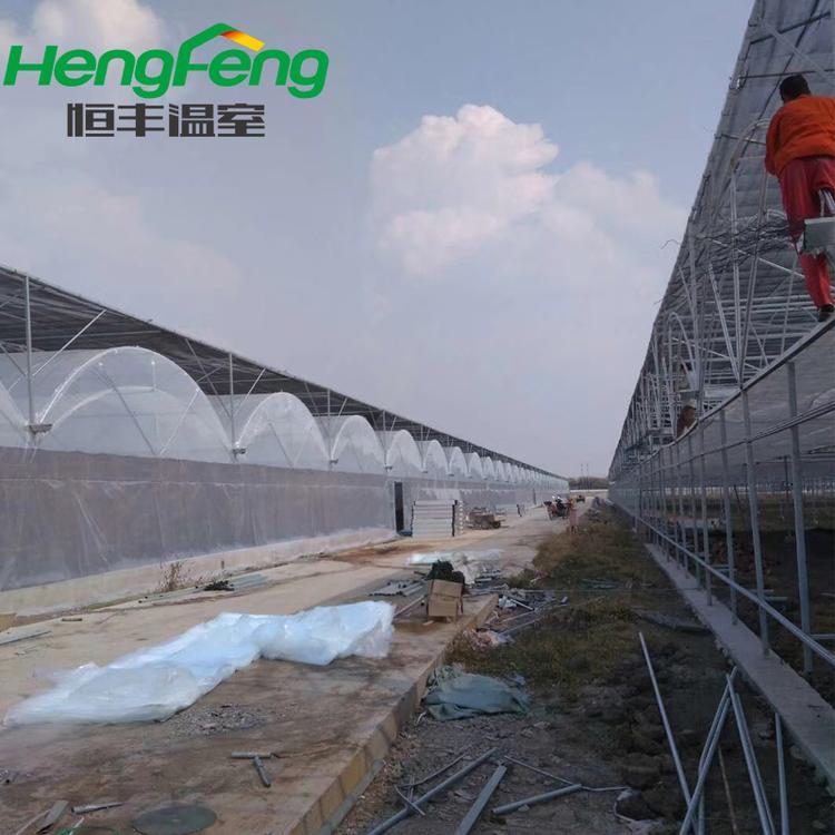 薄膜温室 连栋薄膜大棚 青州恒丰温室建设农用温室大棚