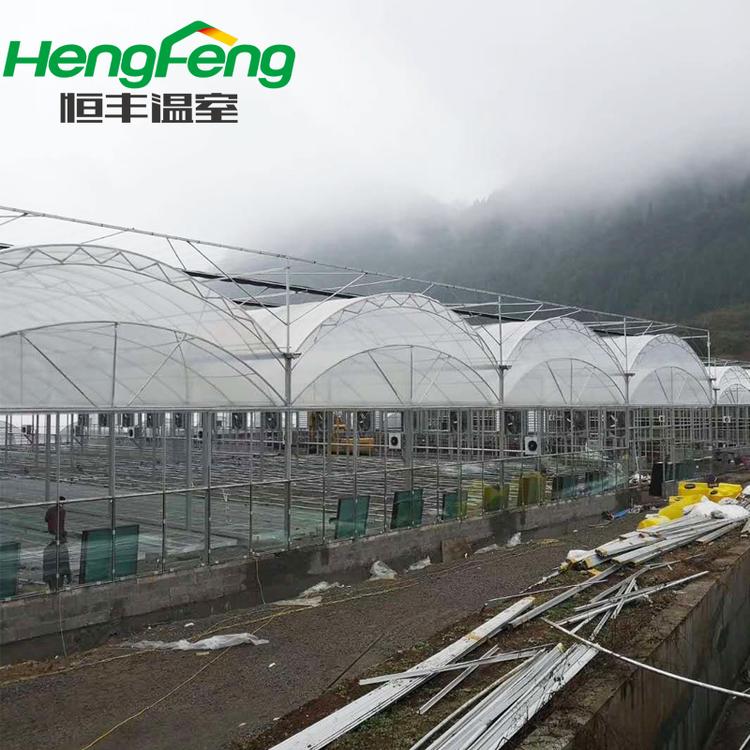 河南连栋温室大棚 山东知名温室工程建设公司 恒丰温室