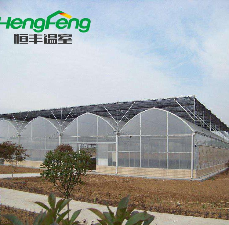 连动薄膜温室室内无土栽培西红柿黄瓜