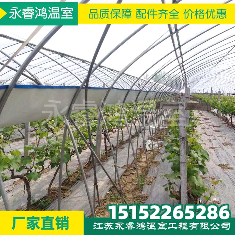 衬塑管厂家 薄膜大棚 专业温室大棚供应商大棚钢架  大棚建设  大棚骨架  大棚材料