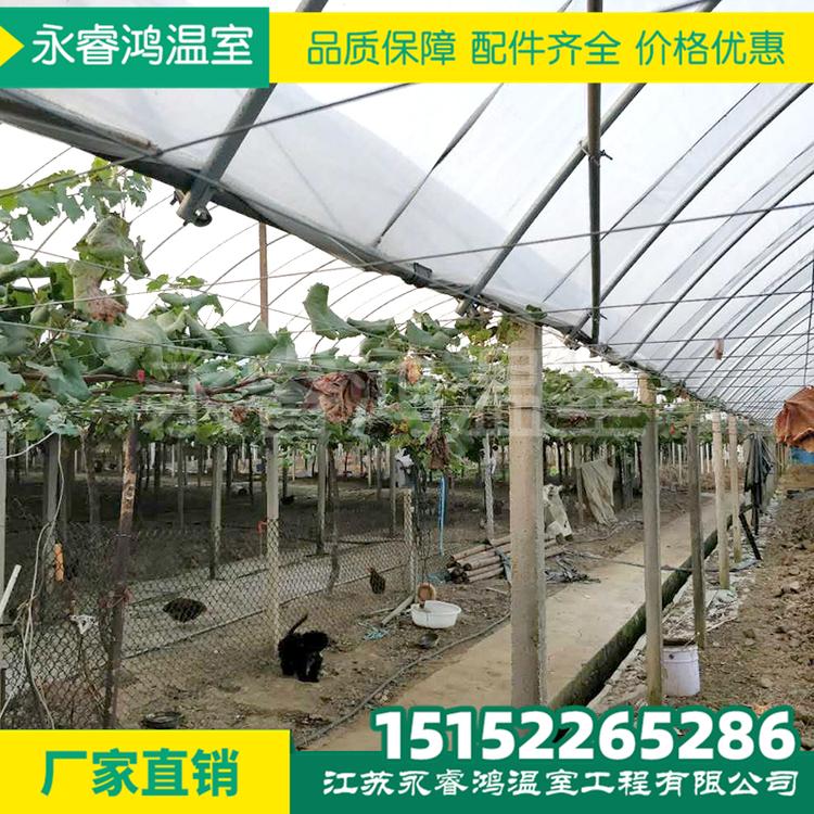广州花卉大棚管 花卉大棚管厂家 价格优惠 大棚骨架 钢架大棚 蔬菜大棚
