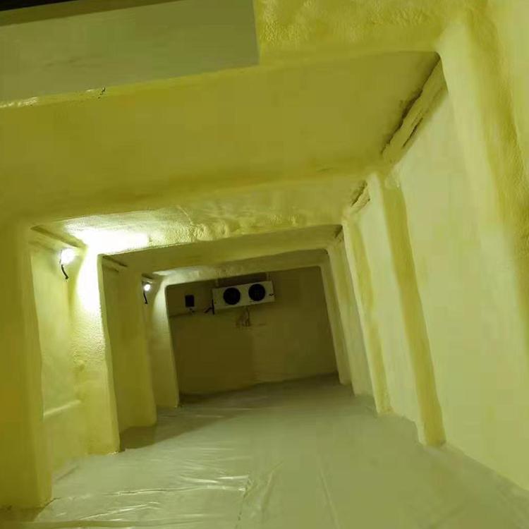 水果蔬菜喷涂保鲜库  仓储大型冷藏库食品冷库安装工程