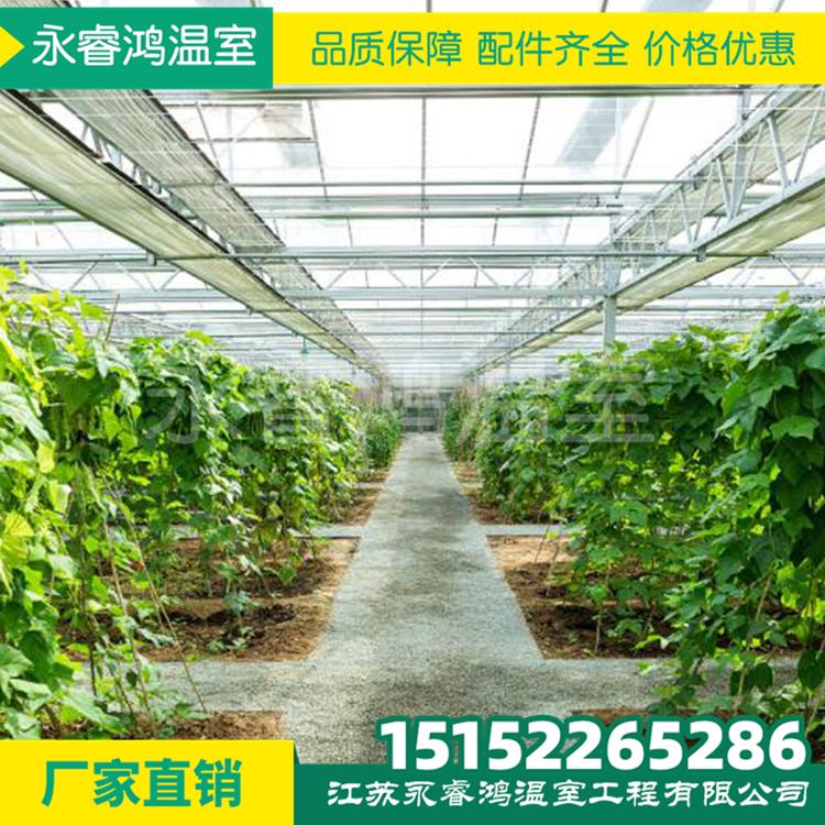 镀锌管大棚 椭圆管大棚 几字钢大棚 钢架大棚 蔬菜大棚 葡萄大棚 菌菇大棚 连栋温室大棚 连体大棚来图定制