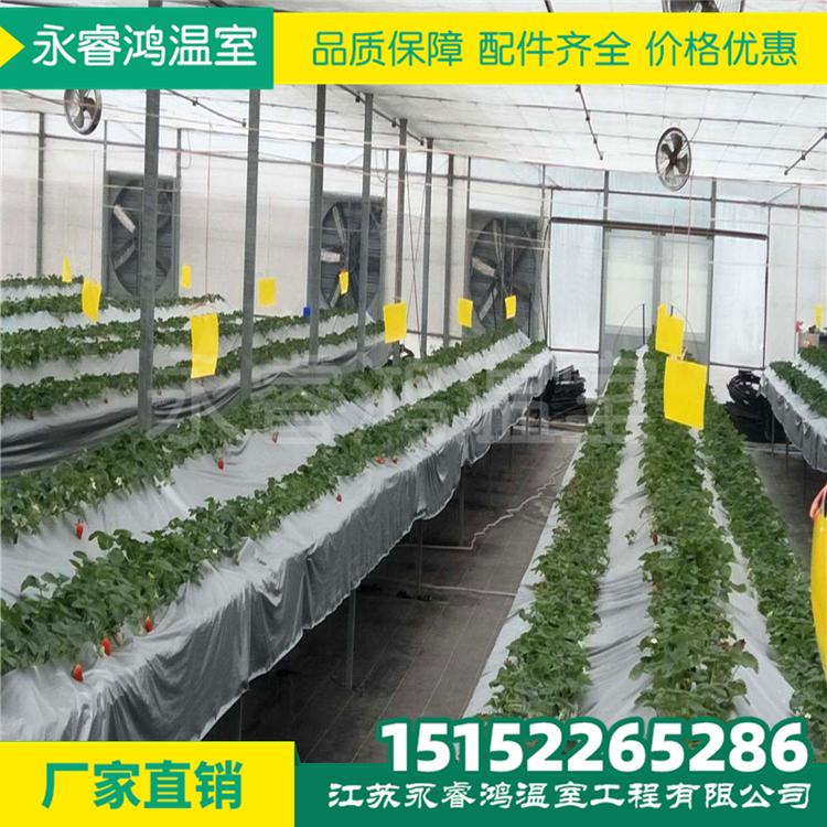 镀锌管大棚 椭圆管大棚 几字钢大棚 钢架大棚 蔬菜大棚 温室大棚 葡萄大棚物美价廉