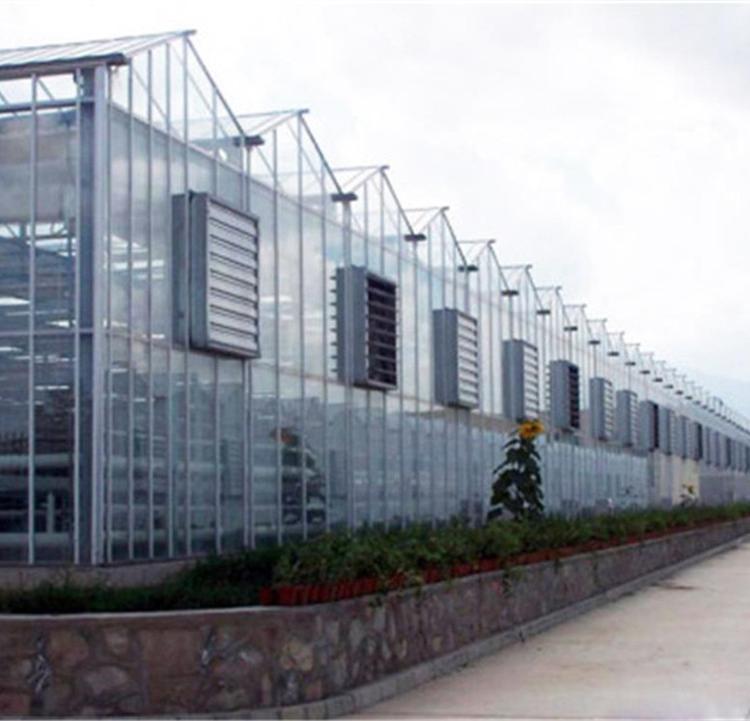 智能玻璃温室大棚 玻璃温室建设 玻璃温室大棚建造公司_成铭