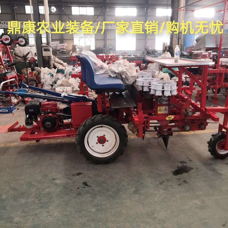 自走式四行移栽机 鼎康移栽机可用于甜叶菊桑树菊花的移栽种植 生产厂家直销