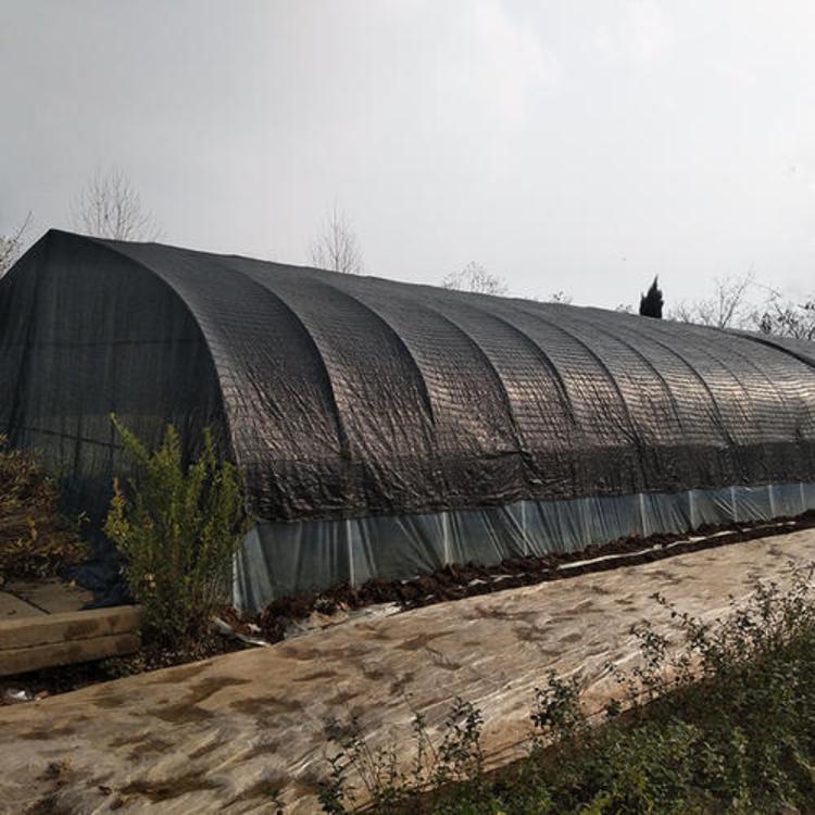 蔬菜大棚建设_专业供应蔬菜大棚骨架