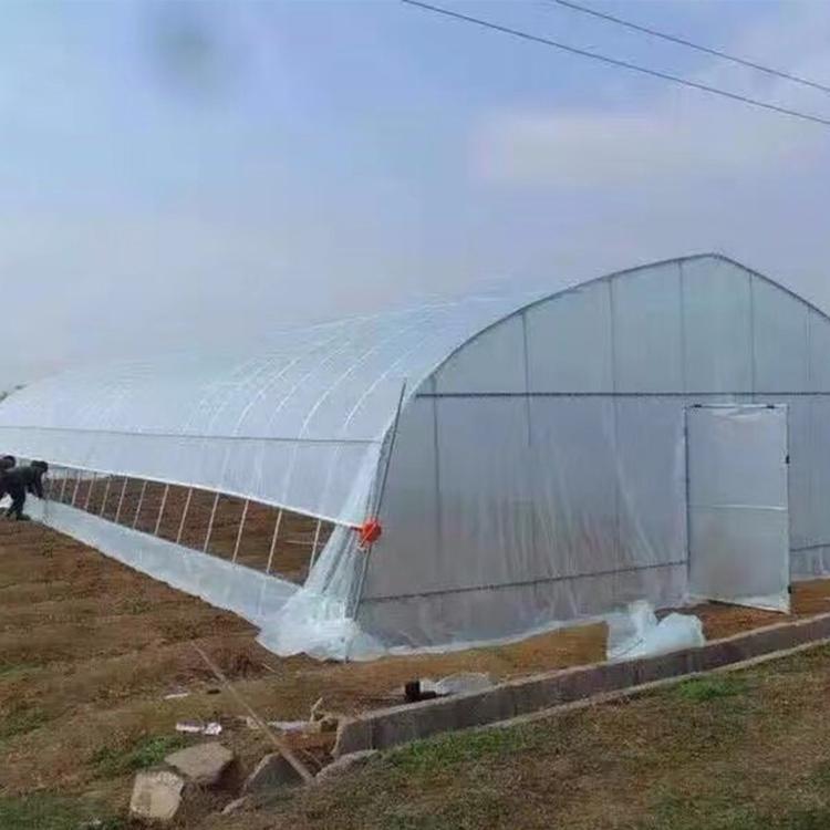 温室大棚春秋棚单体拱棚,蔬菜插地棚价格优惠 质量保证