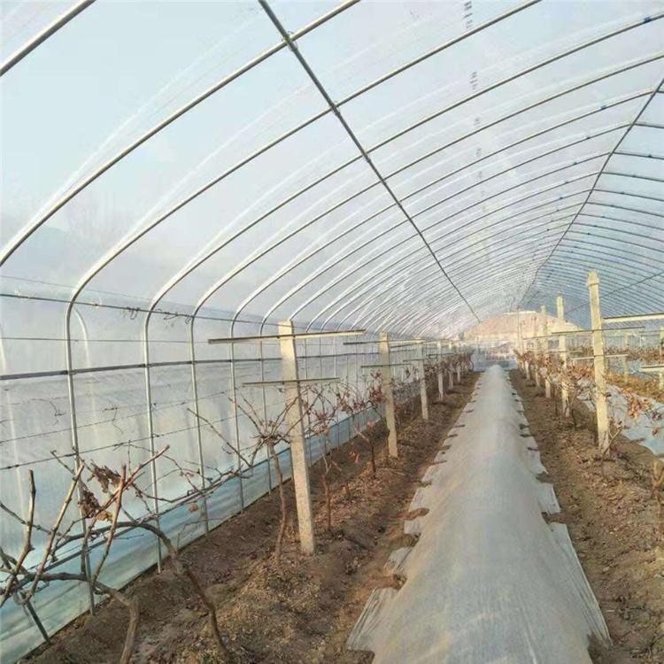 经济实用简易大棚安装_青州博盛温室