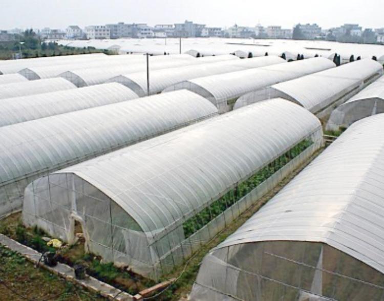 博盛温室：单拱温室承建-单拱温室报价