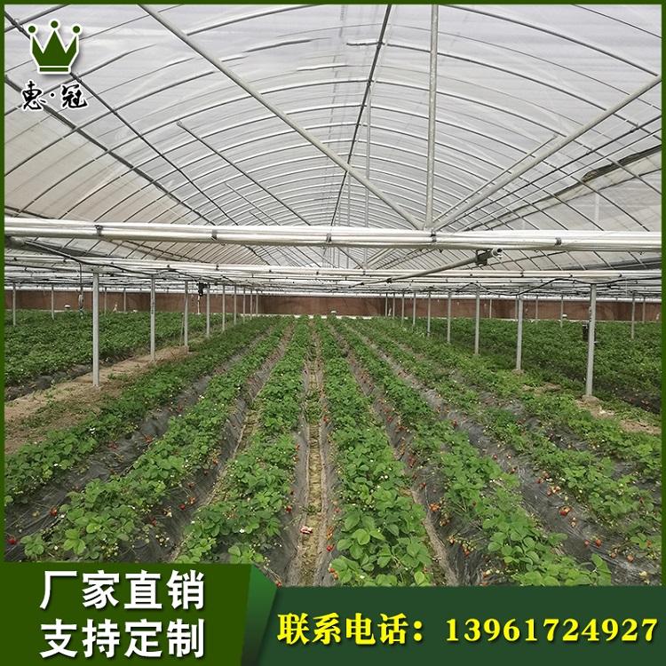 现货批发温室塑料大棚草莓大棚