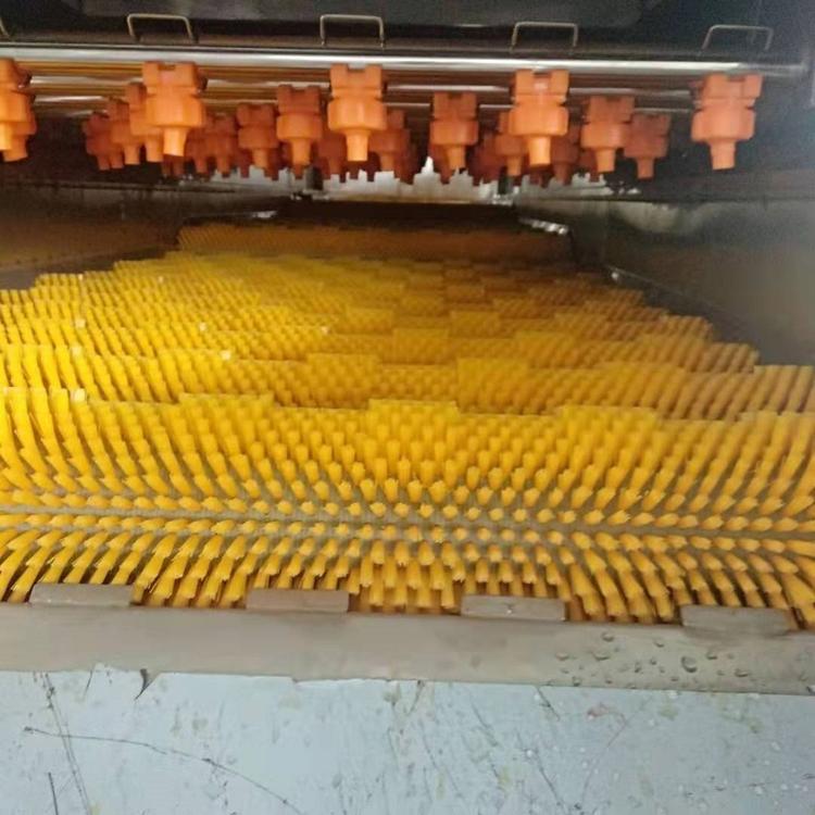 日照臧家荒牡蛎清洗机-贝壳清洗去杂设备 海蛎子专用清洗毛刷辊设备厂家
