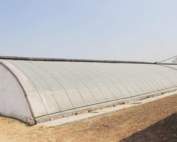 日光温室大棚建设 青州日光温室公司 日光蔬菜大棚建造