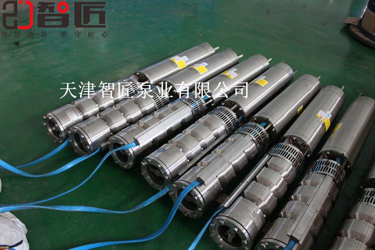 地热潜水泵型号价格天津智匠泵业现货供应