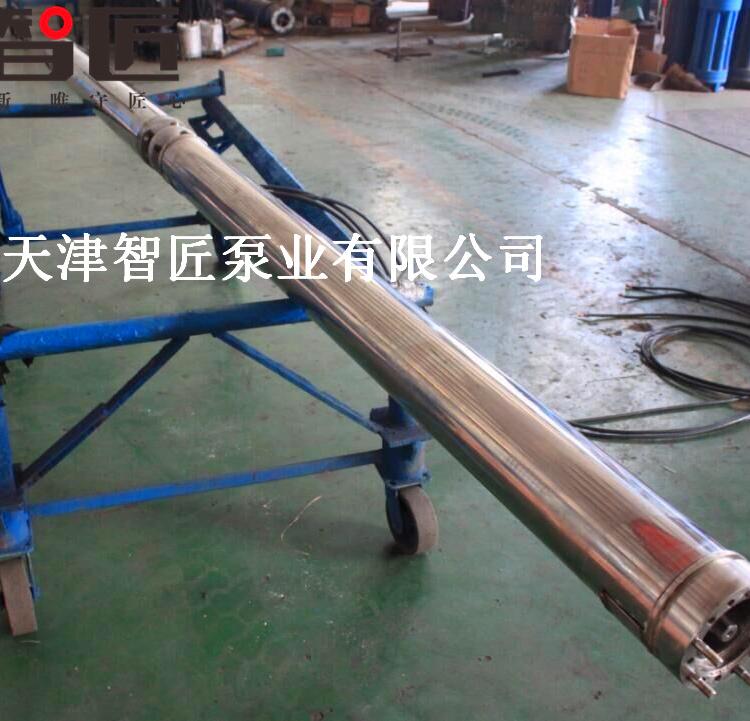 辽宁温泉井专用泵优质品牌