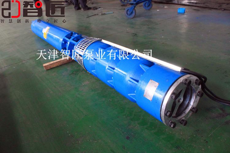 上海高扬程热水潜水泵功能介绍--天津智匠泵业