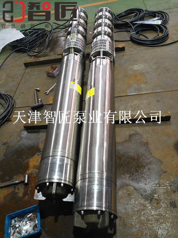 热水潜水泵质量怎么样天津智匠泵业现货供应