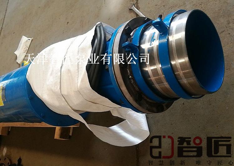 热水潜水泵安装示意图天津智匠泵业现货供应