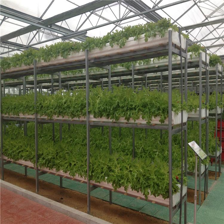 种植槽栽培水培 深液流栽培 立体种植无土栽培平管式栽培水培种植