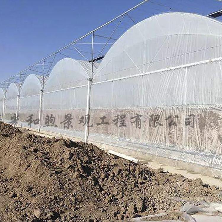 简易连栋拱形温室大棚 主要用于蔬菜春季早熟栽培和秋季延后栽培 塑料大棚