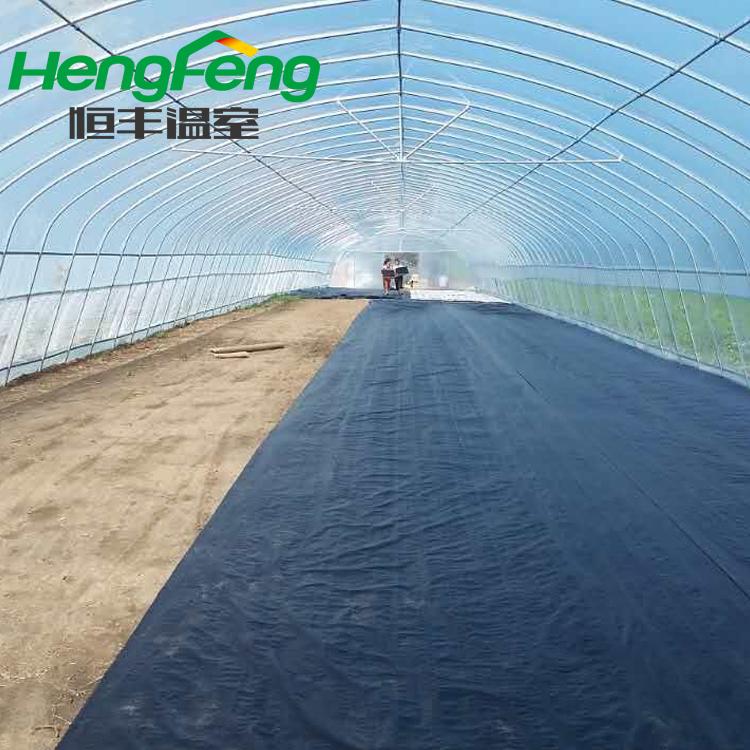 恒丰-单体拱棚温室建设 单体拱棚蔬菜大棚定制