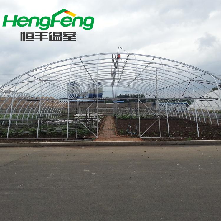山东单体拱棚承建 单体拱棚承接  恒丰温室单体拱棚建造