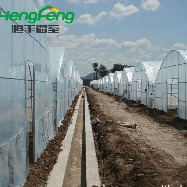青州单体拱棚设计 潍坊单体拱棚 恒丰温室单栋大棚价格