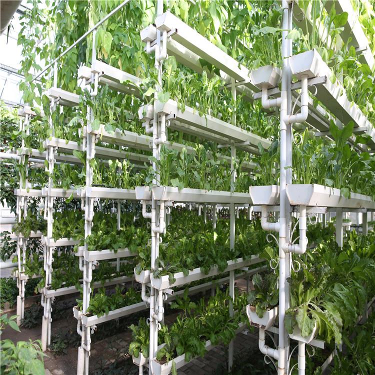无土栽培蔬菜设备园林资材园艺工具立体栽培设施种植U型槽蔬菜