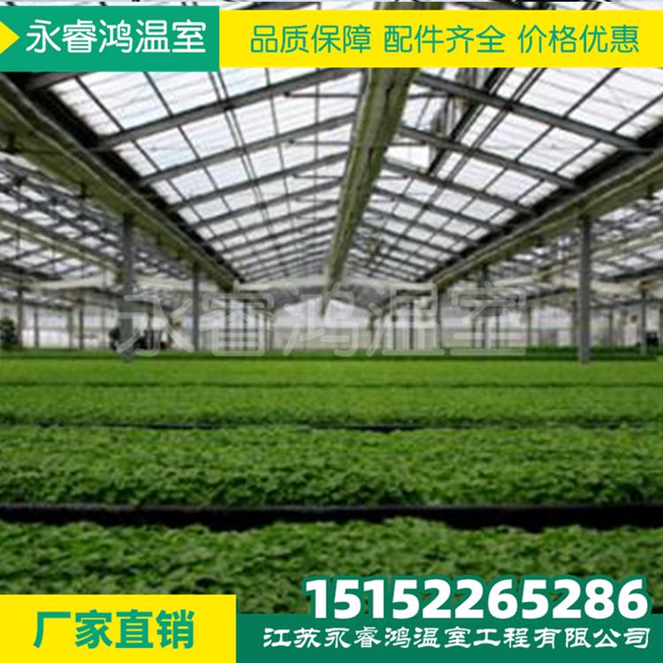 定制花卉大棚养猪养鸡畜牧温室大棚骨架批发农业生态养殖大棚
