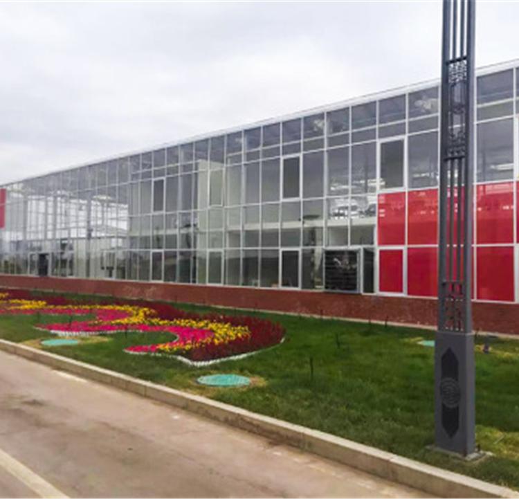 可定制玻璃温室建造找润隆温室 山东玻璃温室承建商