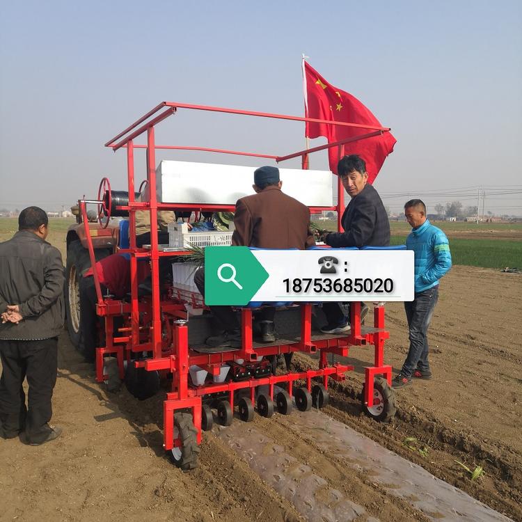 洋葱移栽机6行洋葱移栽机蔬菜多功能一体机厂家定制公司价格销售