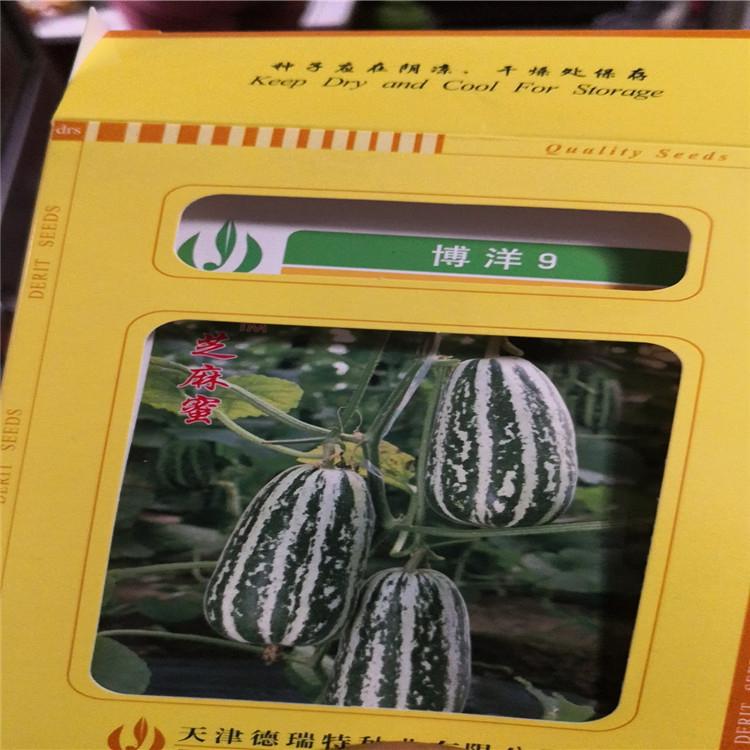 抗病毒博洋种子   甜瓜种子  羊角蜜甜瓜种子