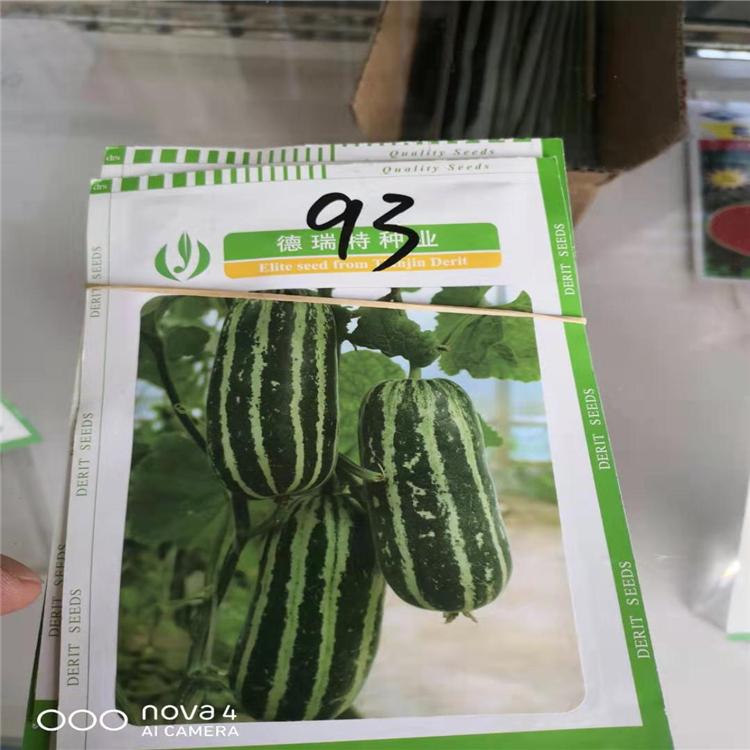 博洋93种子  羊角蜜种子  羊角蜜甜瓜种子