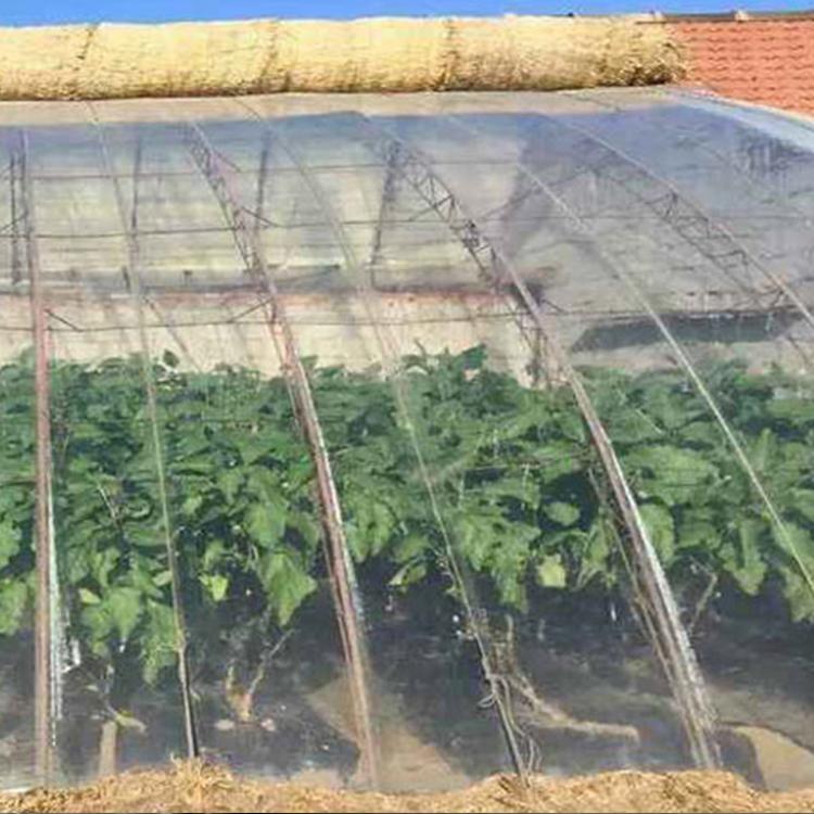 转光大棚PO膜 多种多样规格大棚PO膜 大棚专用型农膜 改进光质