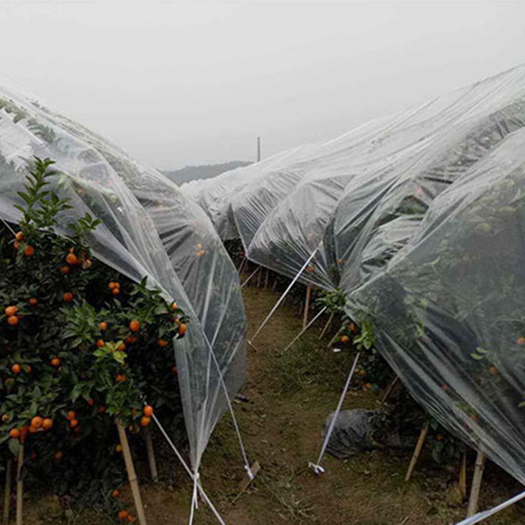 厂家直销支持定制高档大棚灌浆膜 三层共挤大棚黑白膜 农用大棚膜温室大棚PO膜