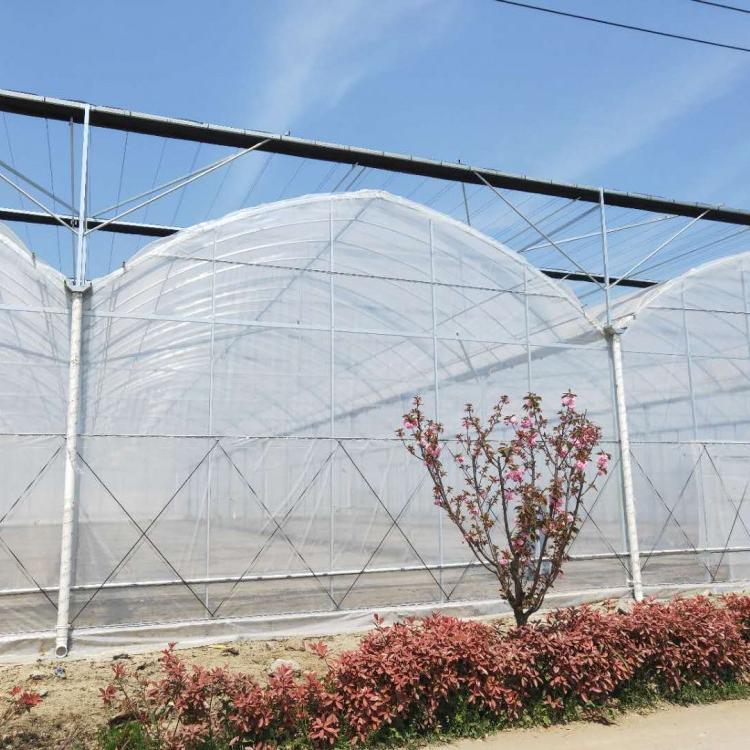 山东厂家直供花卉养殖连栋连体大棚 智能温室大棚 内遮阳连栋大棚 质保十年抗风抗雪
