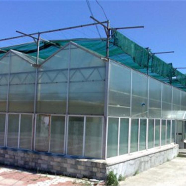 热销 pc阳光板温室 阳光板温室 建设阳光板温室大棚 智能阳光板温室