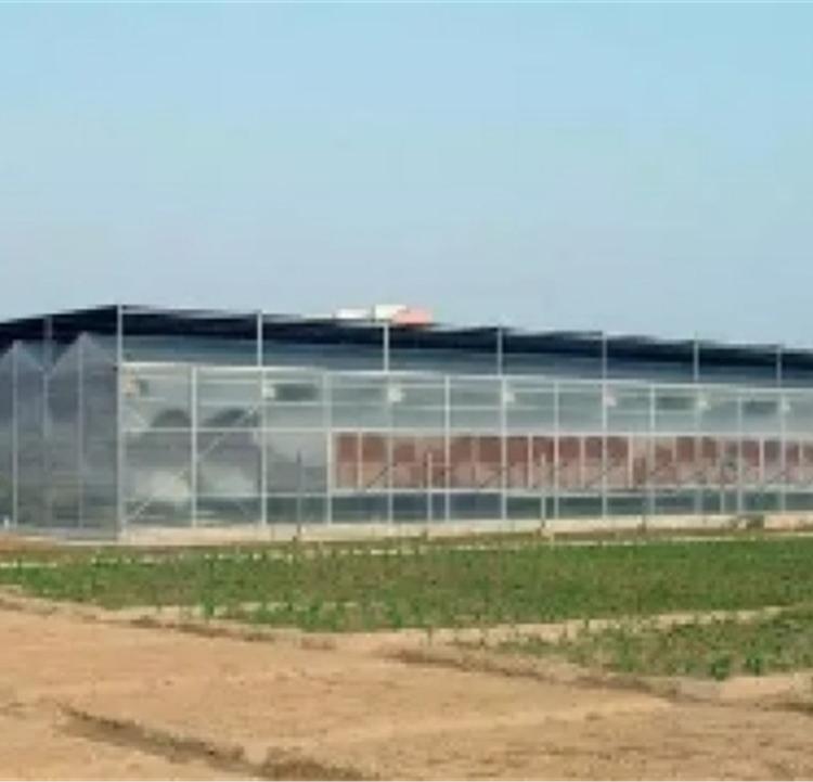 日光温室与连栋温室 日光温室连栋智能温室 圆管大棚骨架【润隆温室】