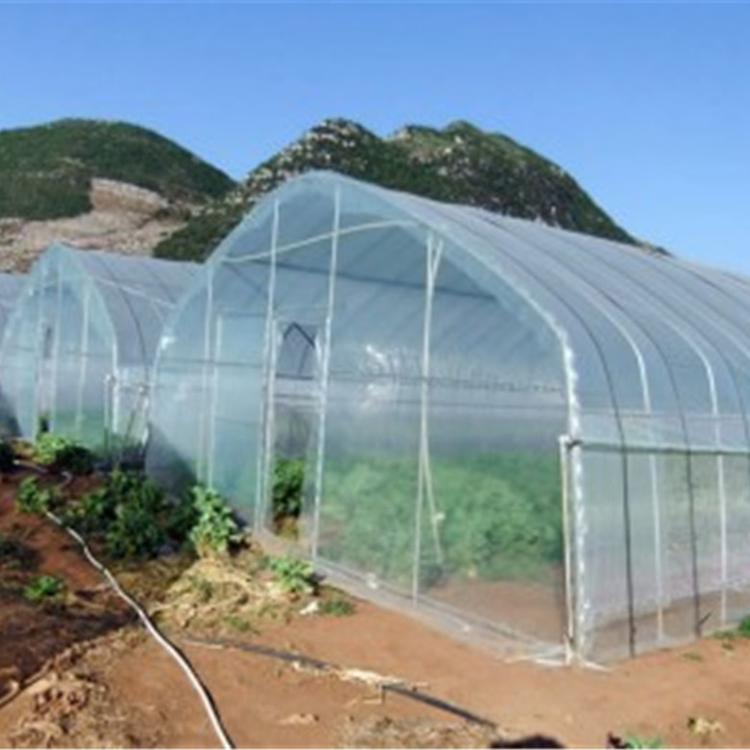 润隆温室定制单体拱棚温室 温室大棚春秋棚 蔬菜薄膜冷棚插地棚